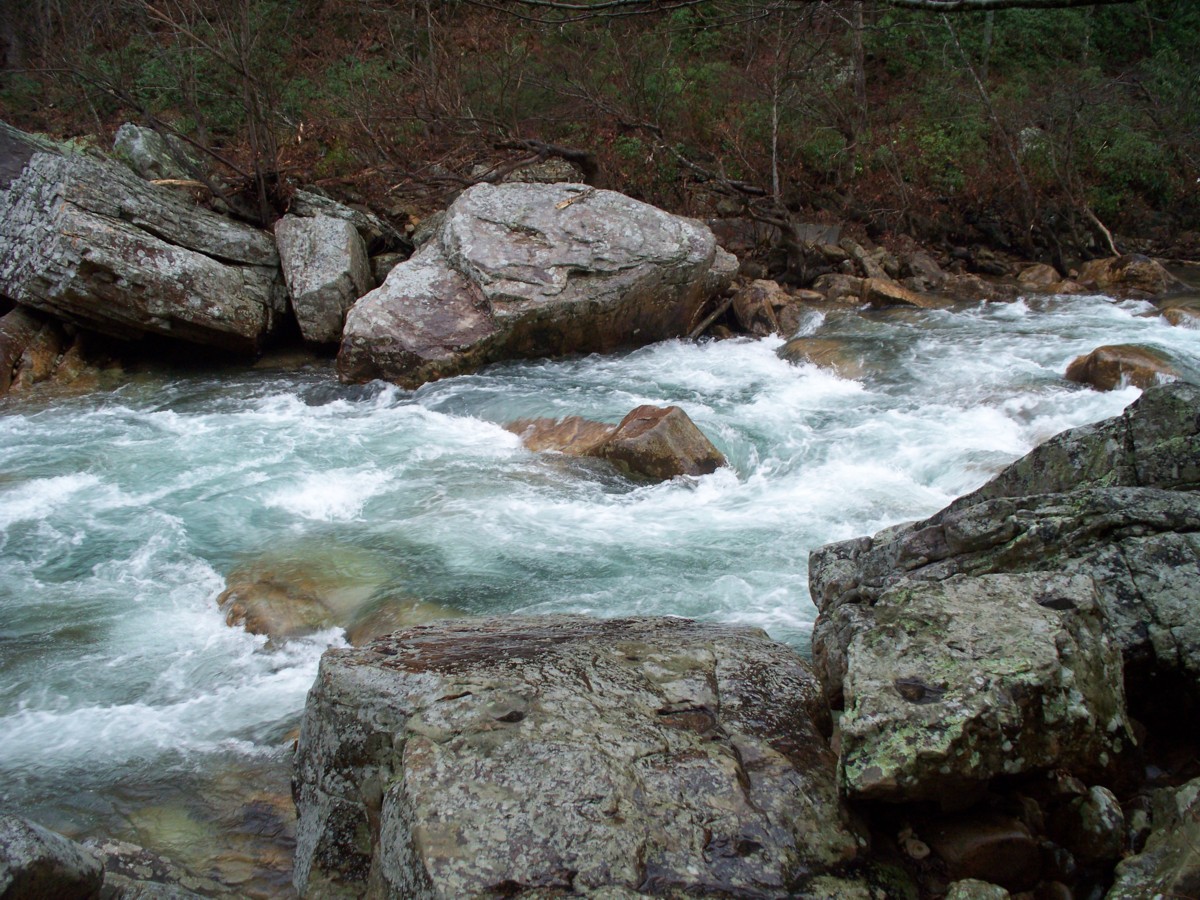 North Chickamauga Creek Gorge Shutterbug